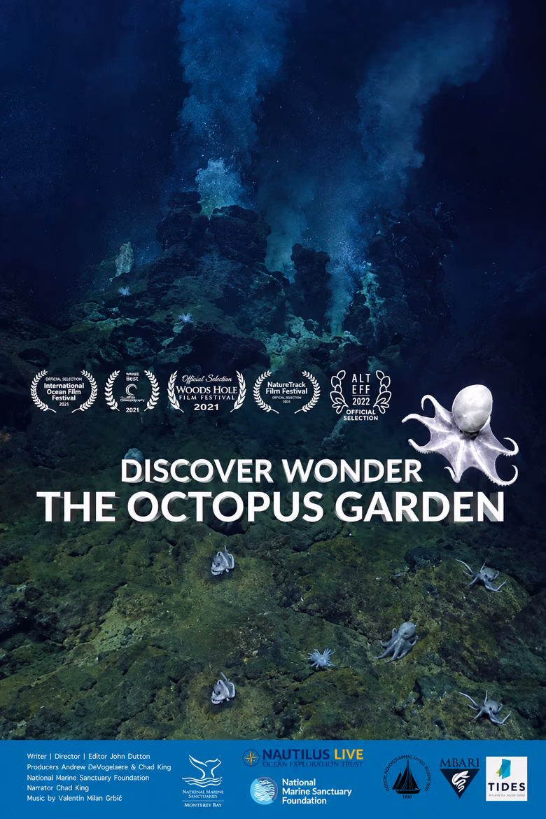 Discover Wonder: The Octopus Wonder