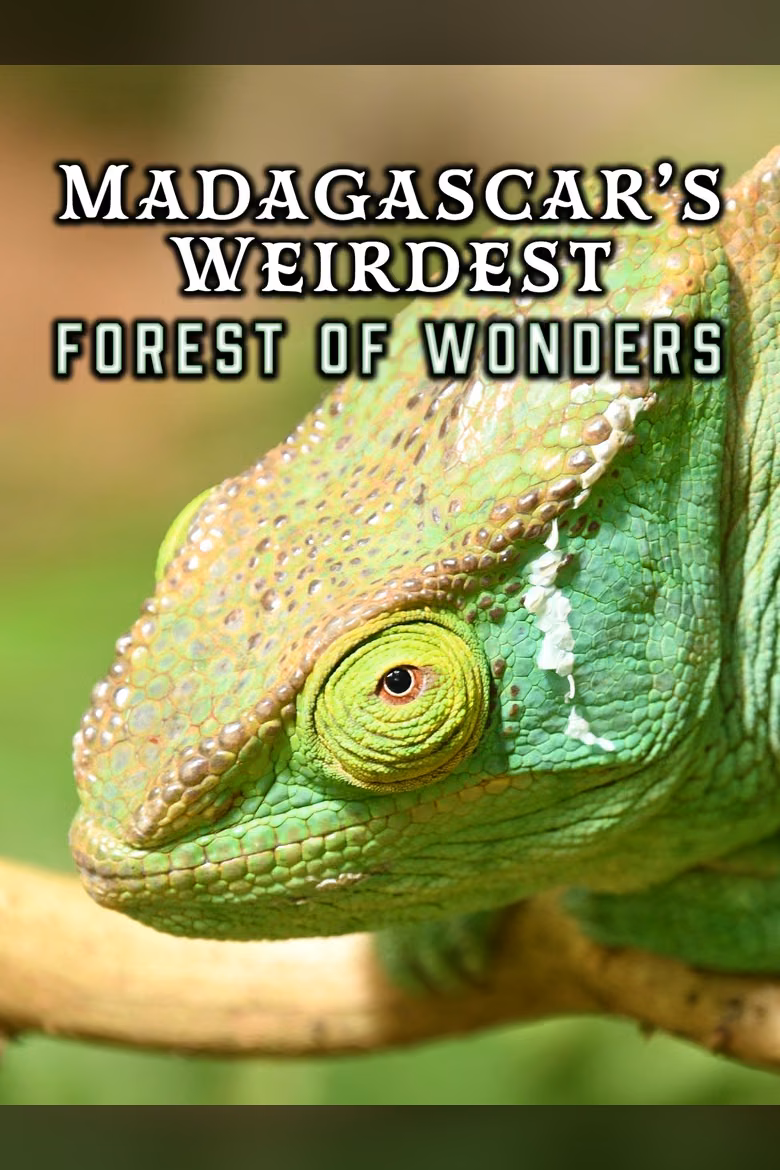 Madagascar's Weirdest: Forests of Wonder