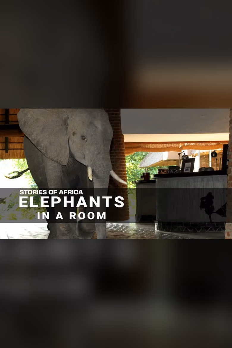 Stories of Africa: Elephants in the Room