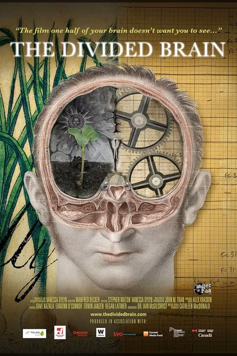 The Divided Brain