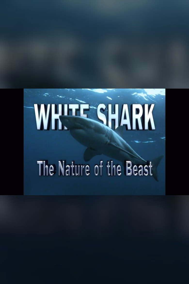 White Shark the Nature of the Beast